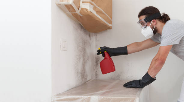 Professional Crawl Space Mold Removal technician working in Greenvale, NY