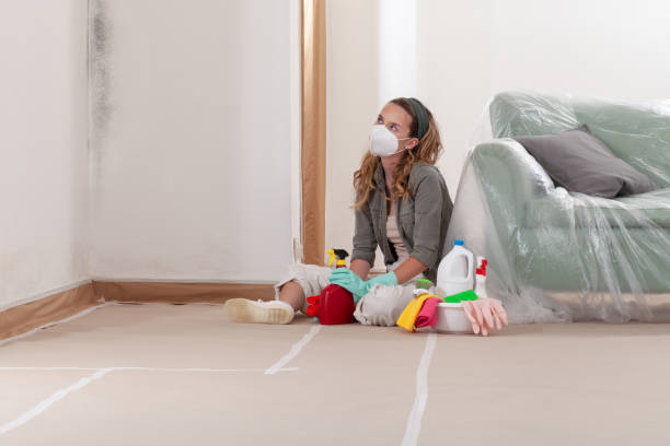 Reliable Crawl Space Mold Removal contractor in Greenvale, NY by WQB Mold Removal